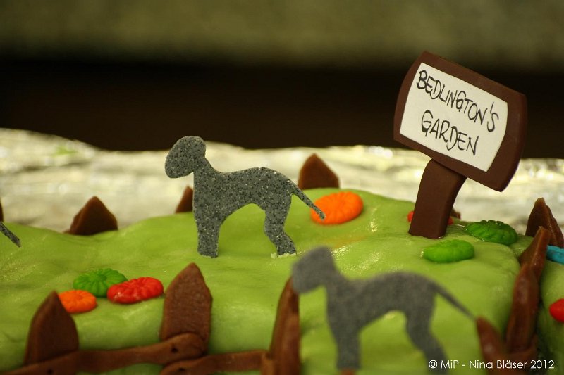 2012-07-01 B & B - Bedlington & Bichon Fun Day (215)_1500x1000.jpg